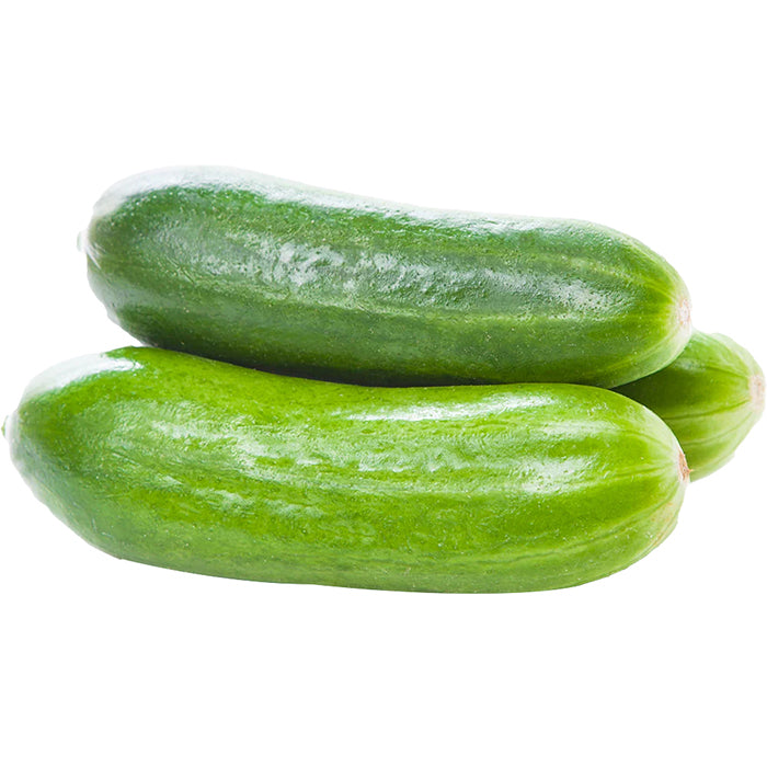 Cucumber Mini x28