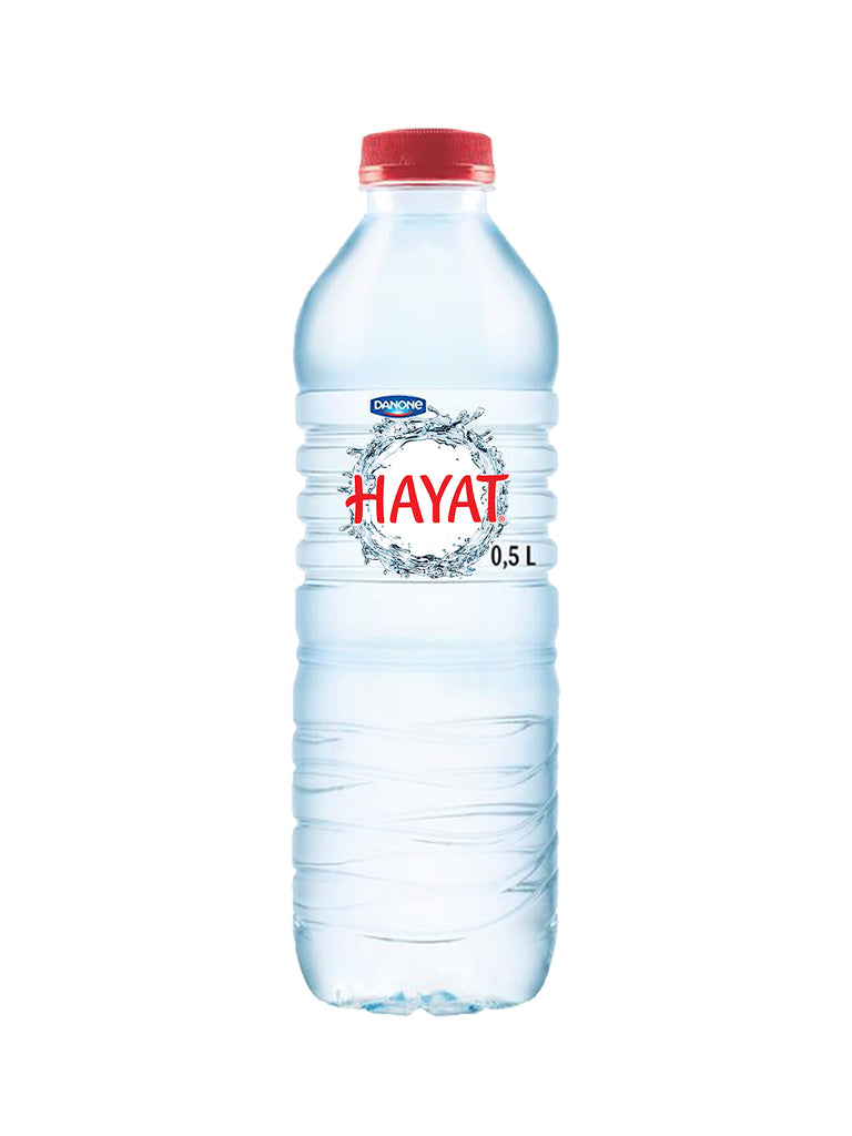 Hayat Water Pet 12x 500ml