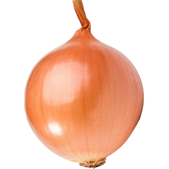 Onion Net 4kg
