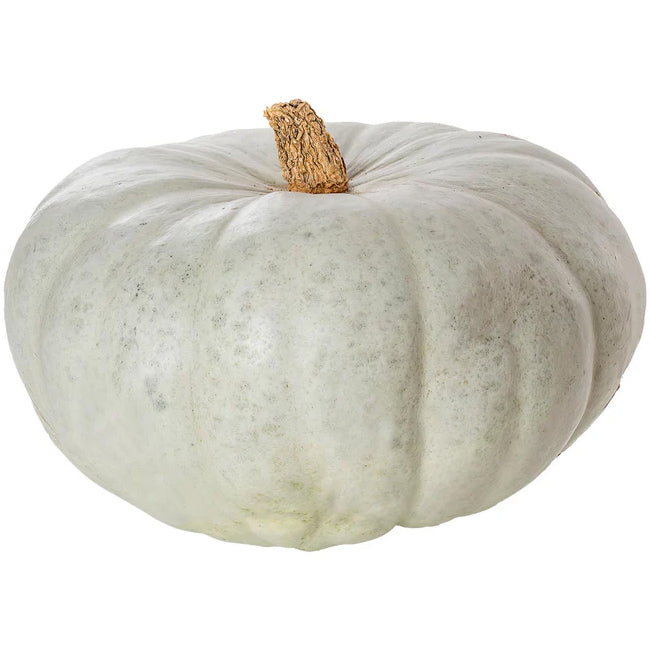 Pumpkin Crown Prince 15kg