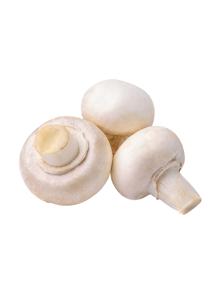 Mushroom Button