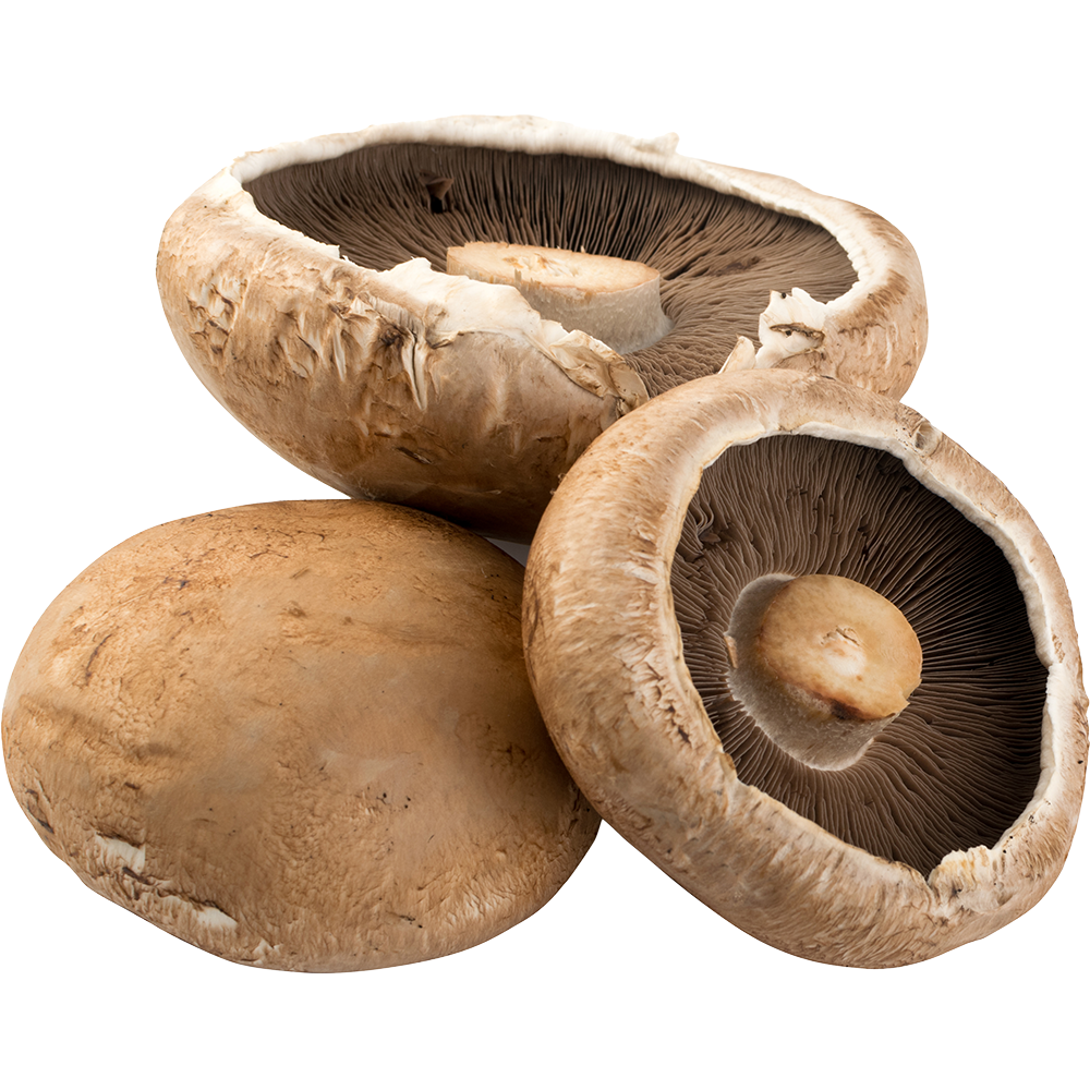 Mushroom Portabello