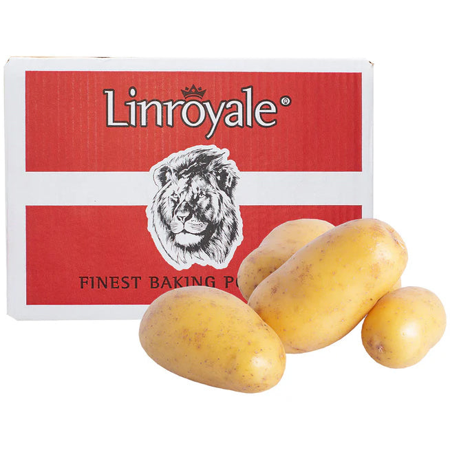 Potato Baking Linroyale x40