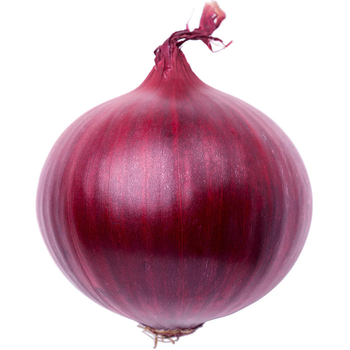 Onion Red Net 8kg