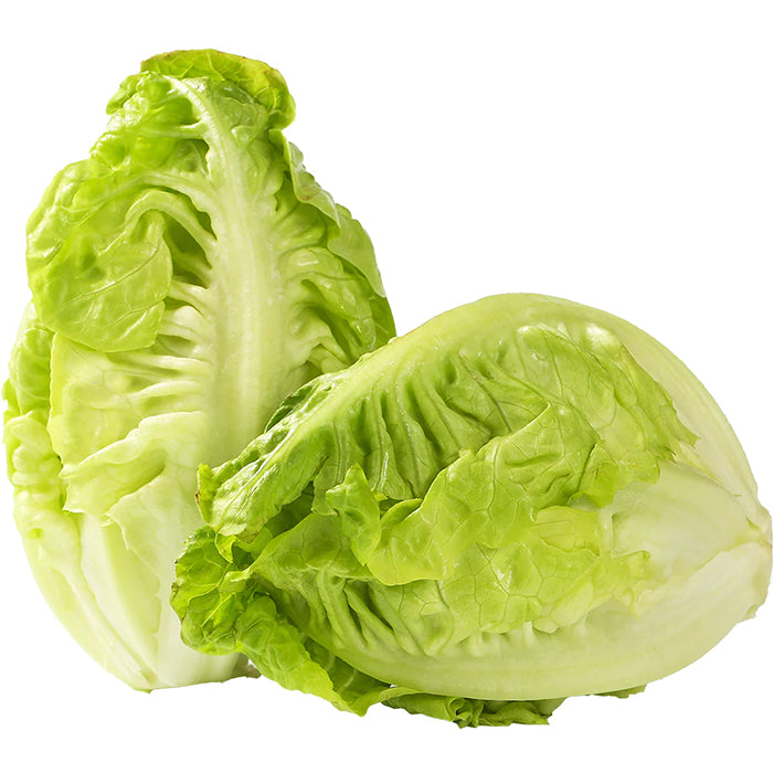 Gem Lettuce