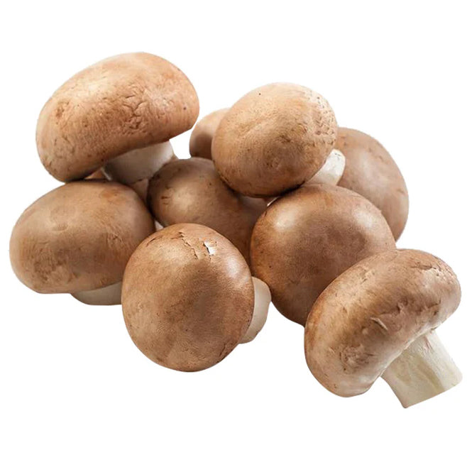 Mushroom Chestnut