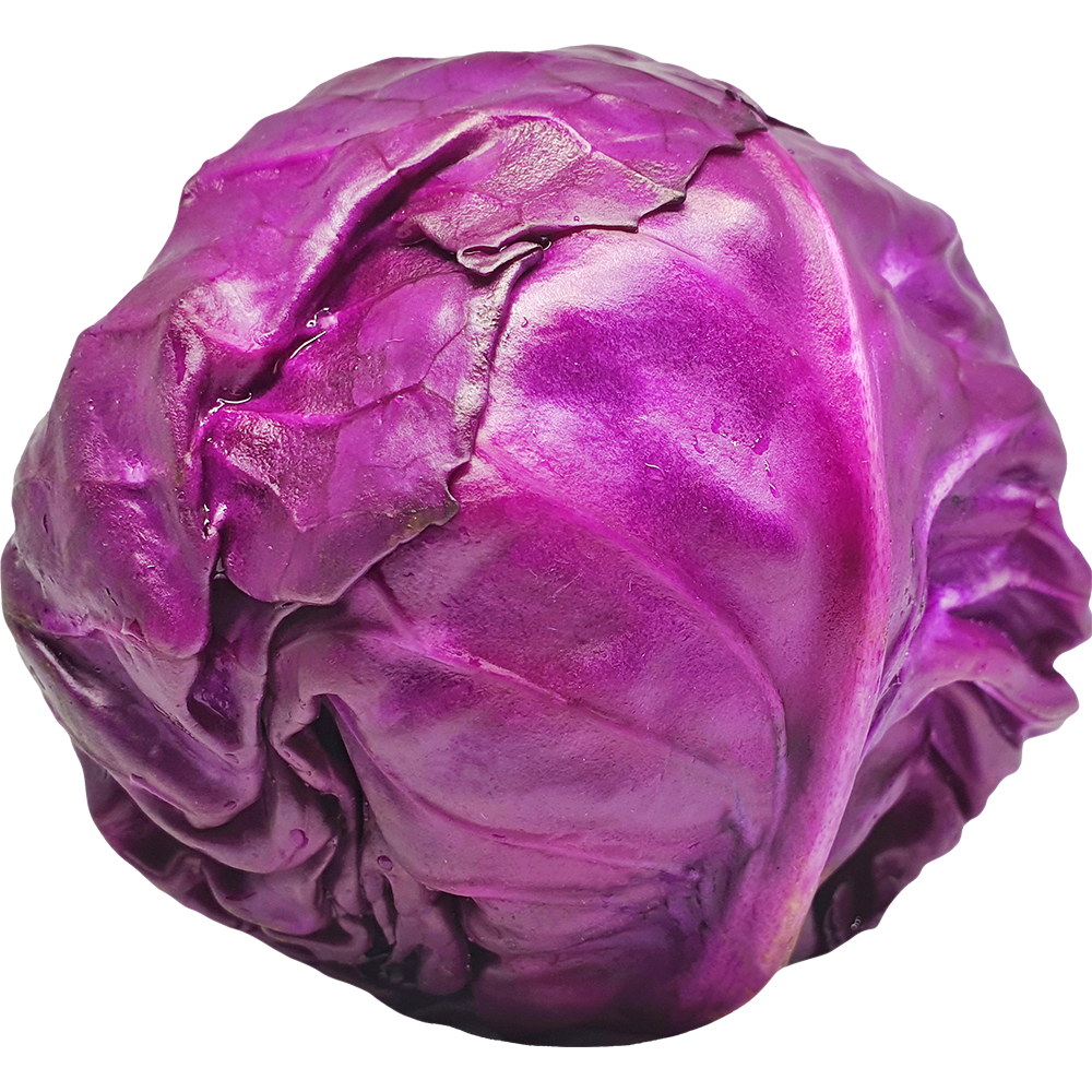Cabbage Red Large 25kg