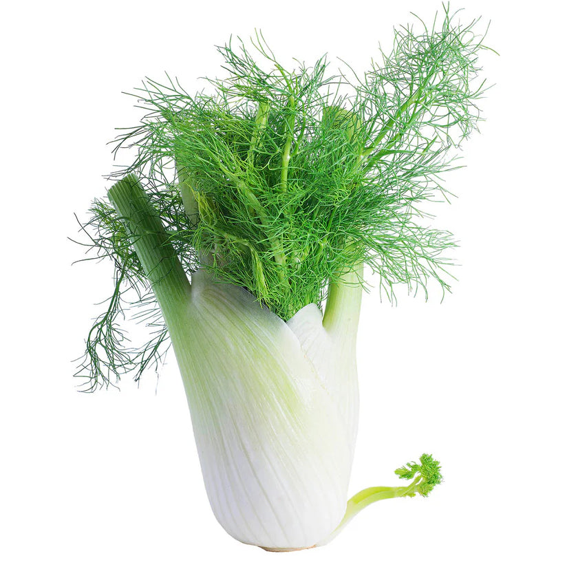 Fennel 5kg
