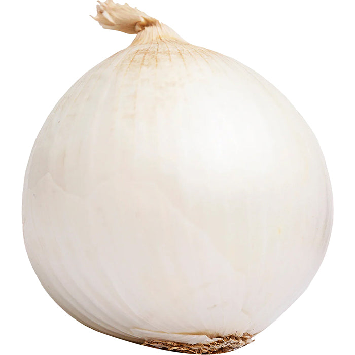 Onion White Net 10kg