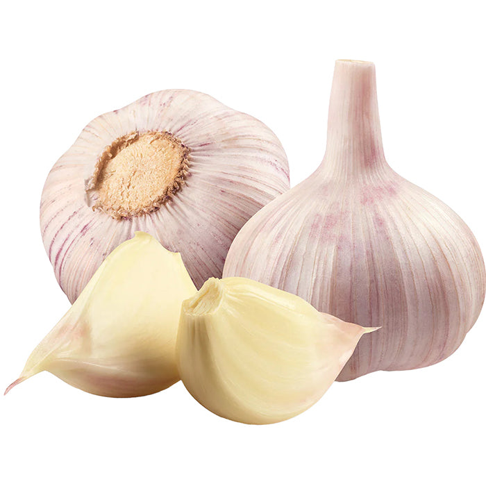 Garlic 20x400g