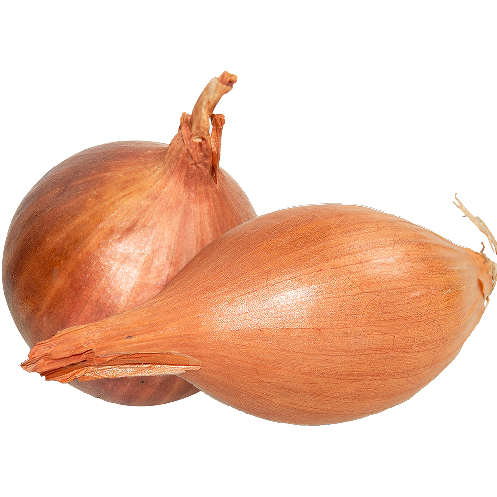Onion Shallots (Round)