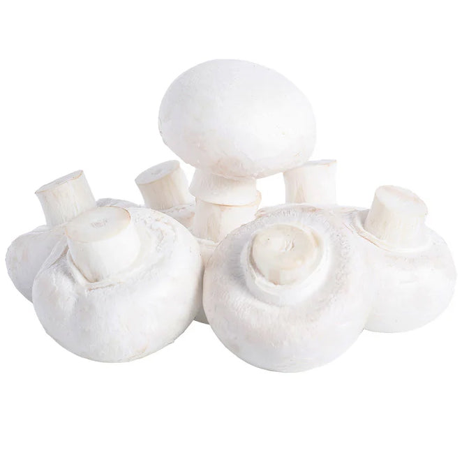 Mushroom Cup 2.5kg