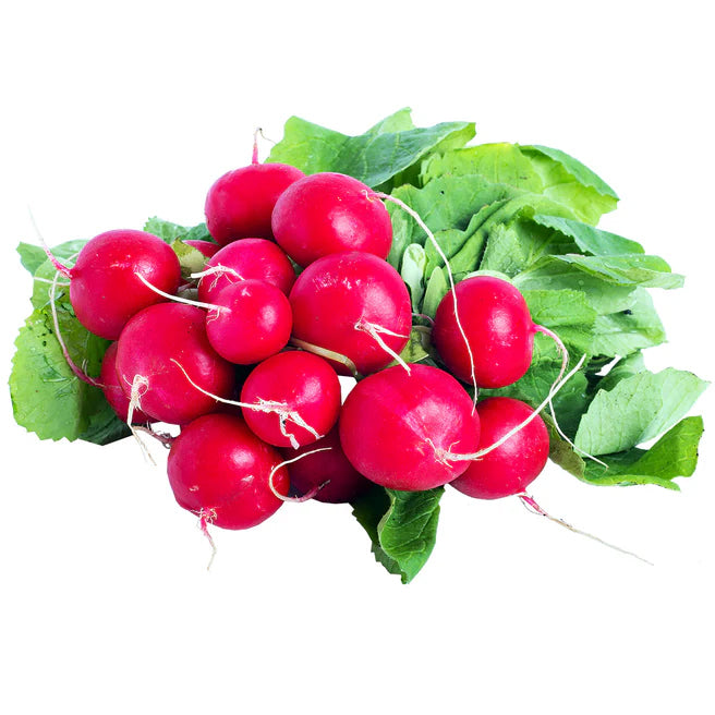 Radish Bunch