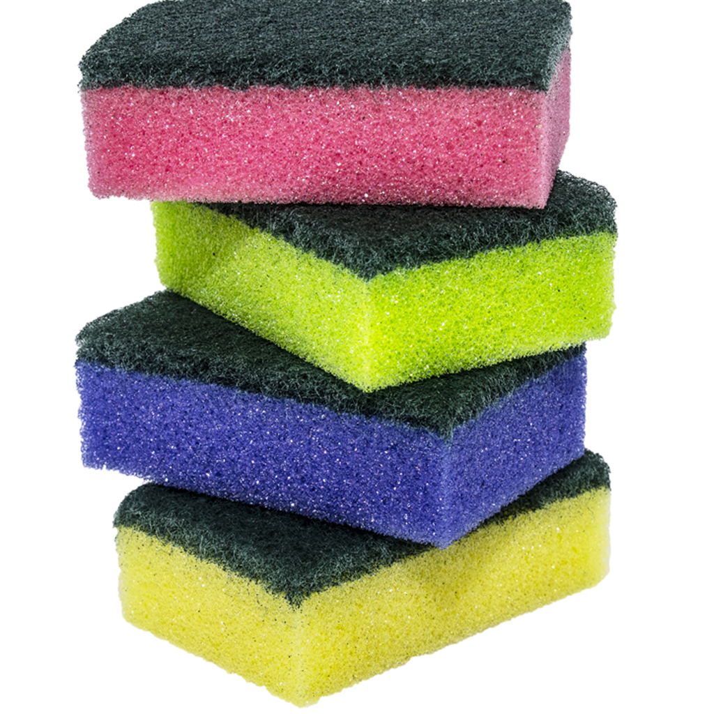 Preema Rainbow Sponge Scourers 10Pcs