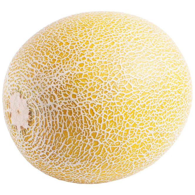 Melon Galia 6kg