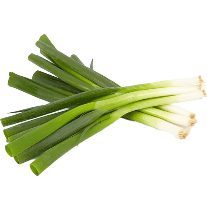 Onion Spring x14