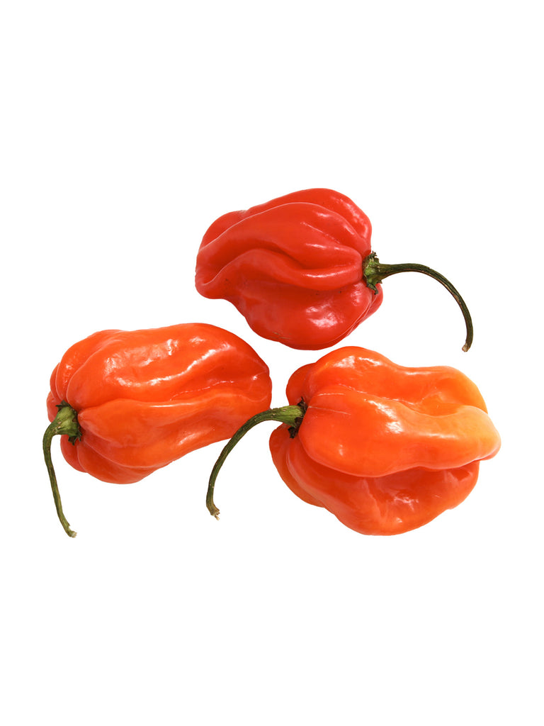 Chillies Hot (Scotch Bonnet) -2kg