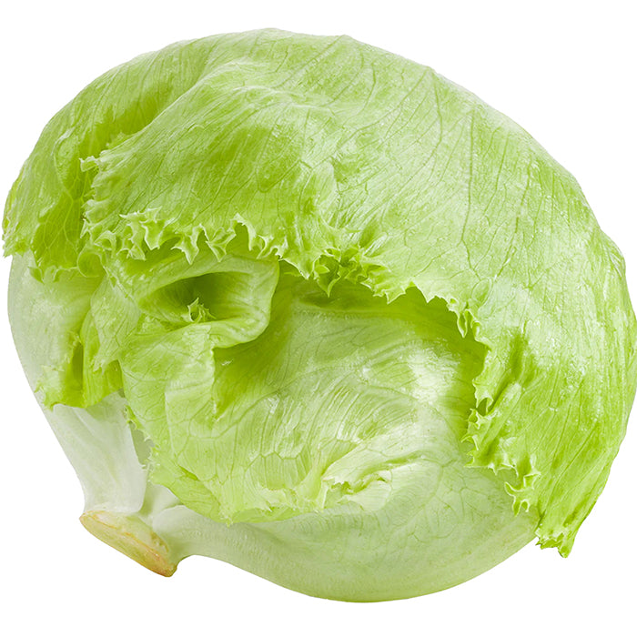 Iceberg Lettuce